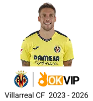 Hình ảnh chuyên gia lãnh đạo