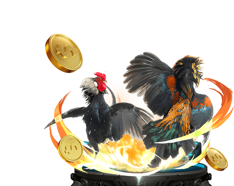 Đá gà trực tuyến tại iwin Club