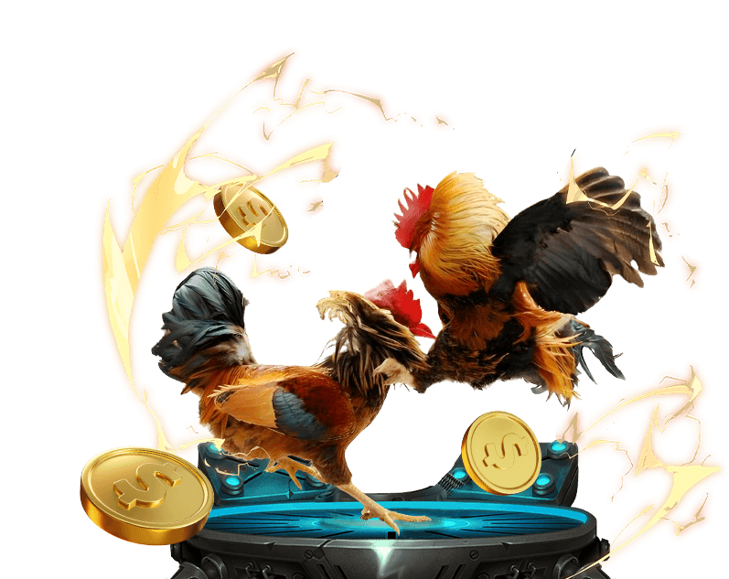 Hình ảnh Đá gà và Tài xỉu